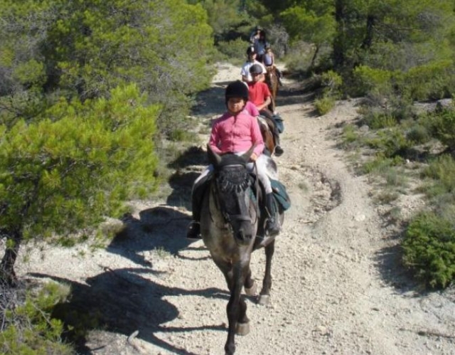  Pbaños a caballo y pbaños en Provenza 
